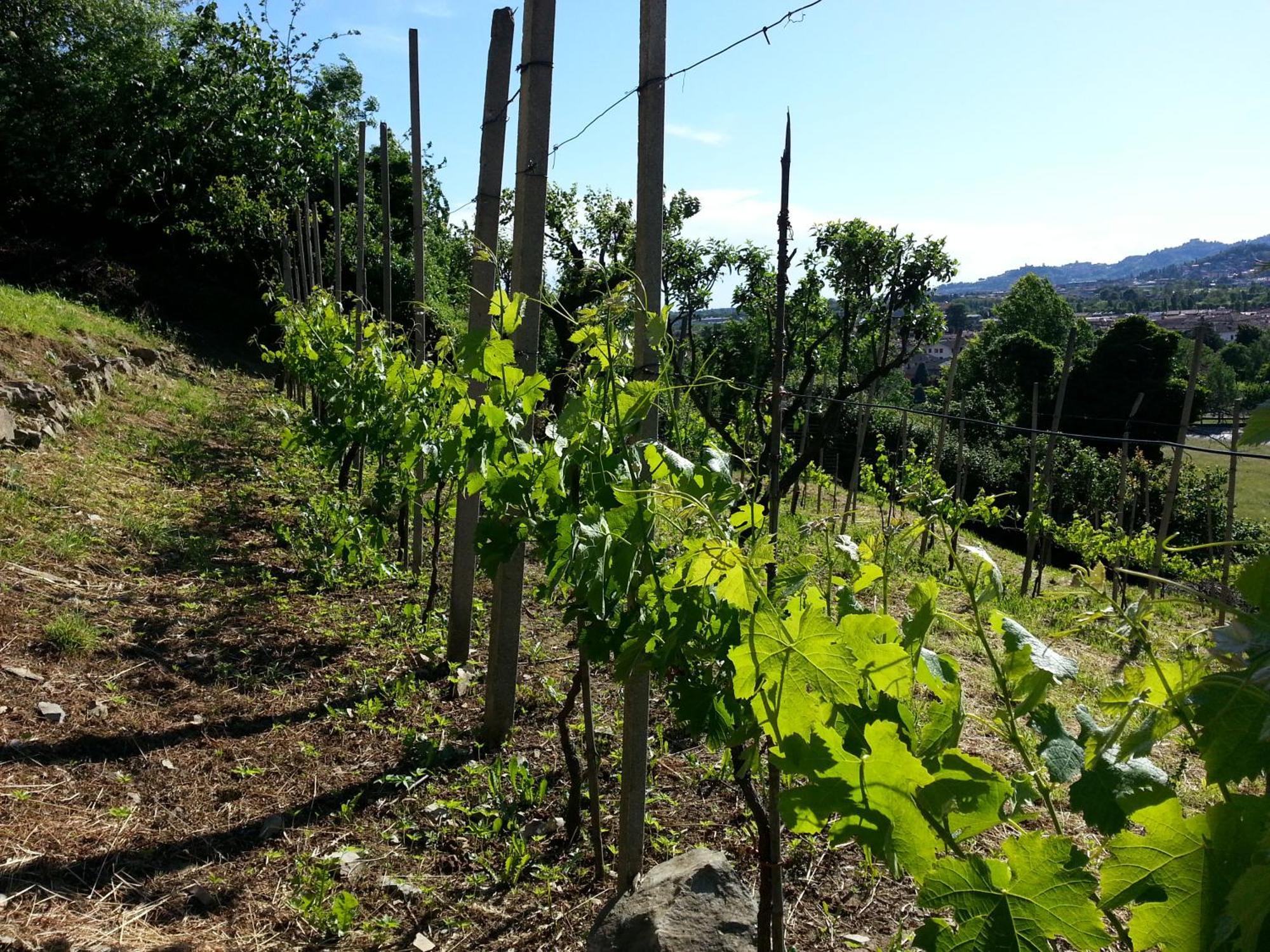 Bergamo Bnb Villa di Serio 外观 照片